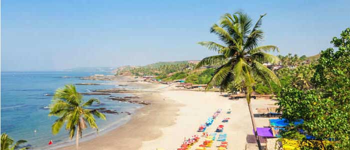 baga beach goa