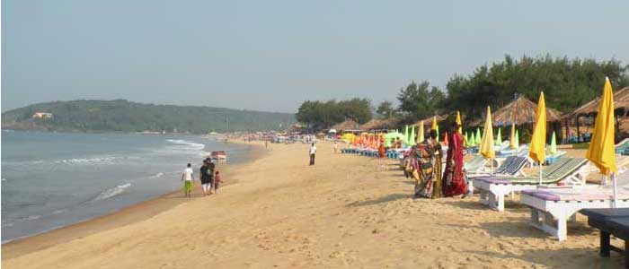 calgunte beach goa