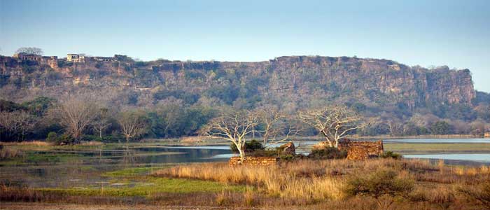 ranthambore